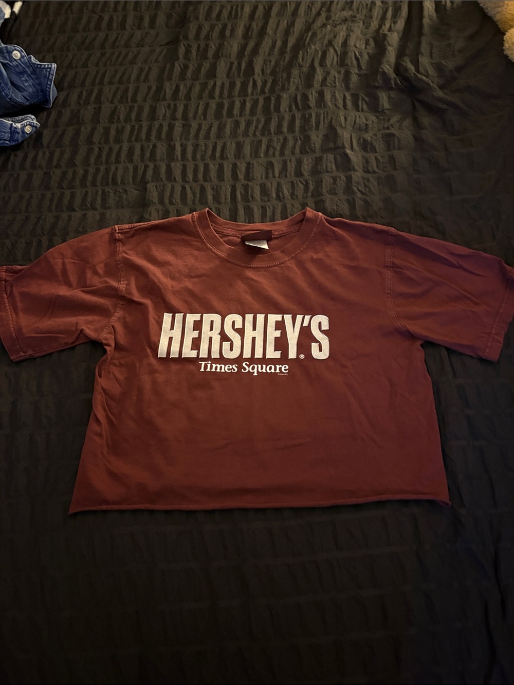 VINTAGE cropped hershey's tee
